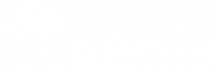 Language Bar